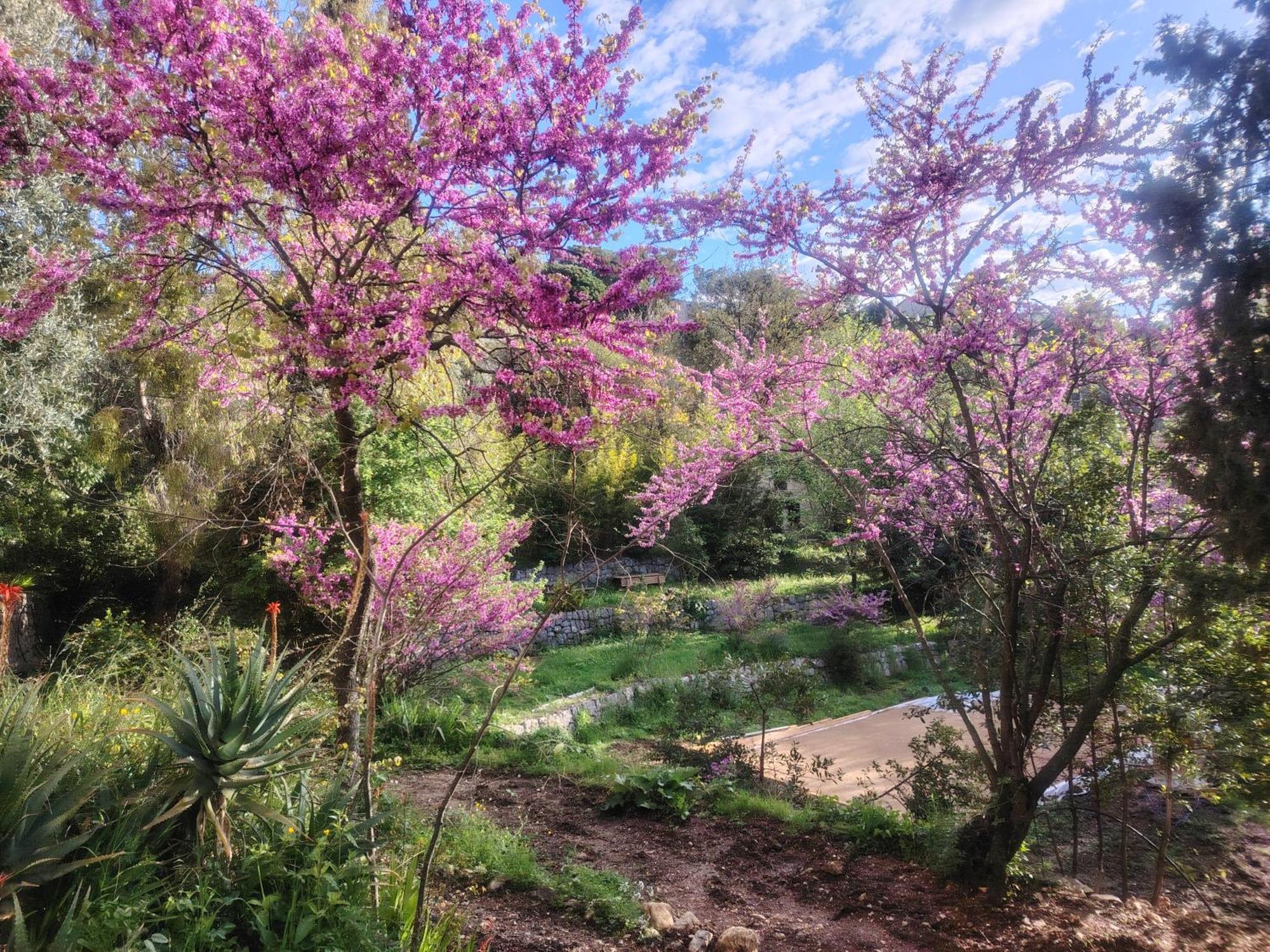 Appartement Domaine Des Petites Soeurs A 800m Du Centre Historique Avec 5200m2 De Parc Arbore