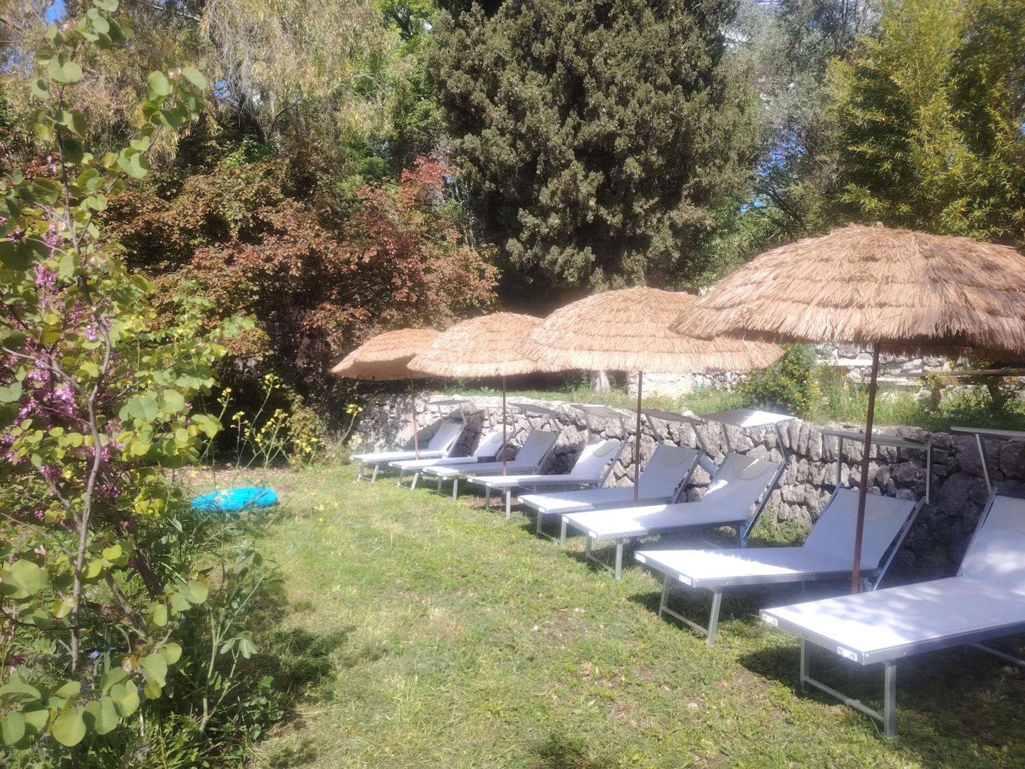 Apartamento Domaine Des Petites Soeurs A 800m Du Centre Historique Avec 5200m2 De Parc Arbore Vence