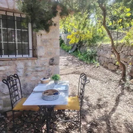 Domaine Des Petites Soeurs A 800M Du Centre Historique Avec 5200M2 De Parc Arbore Vence Exterior photo