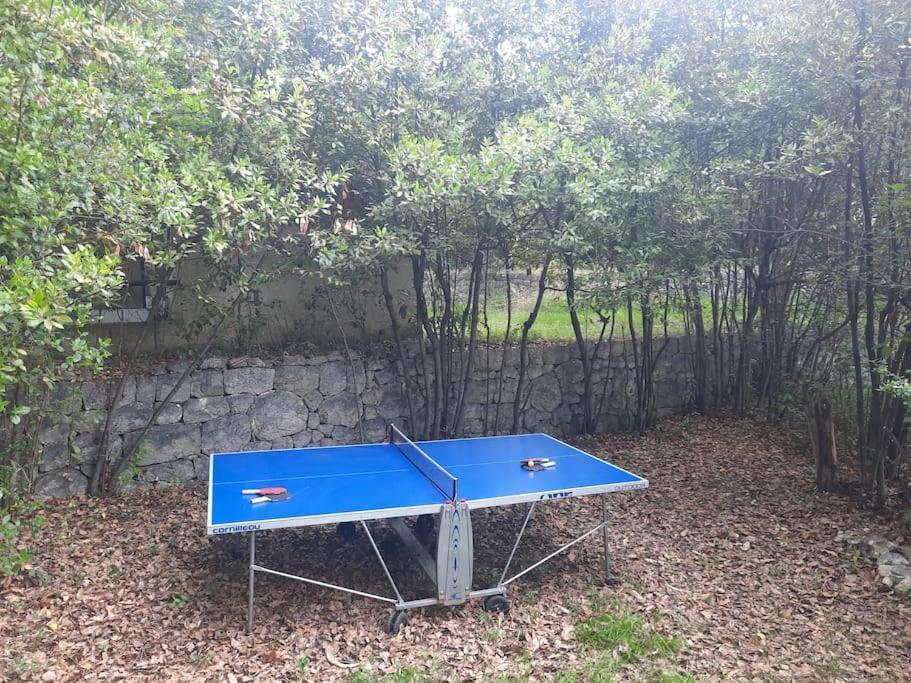 Domaine Des Petites Soeurs A 800m Du Centre Historique Avec 5200m2 De Parc Arbore * Vence