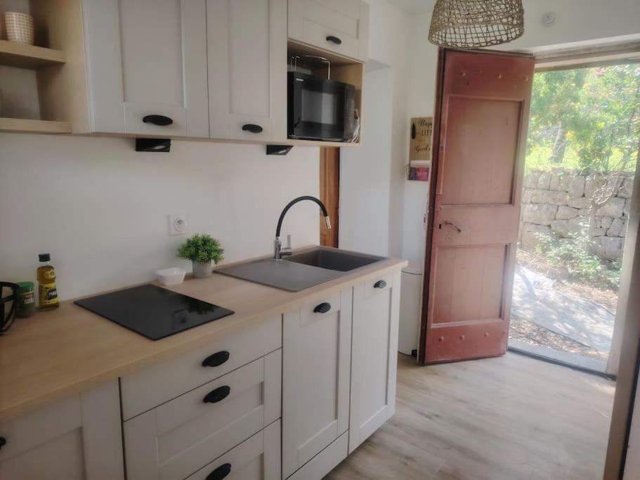 Domaine Des Petites Soeurs A 800m Du Centre Historique Avec 5200m2 De Parc Arbore Apartment Vence